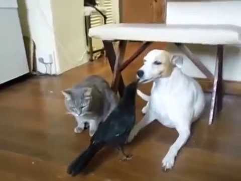 Un po’ per uno…non fa male a nessuno!