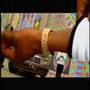 Too Short - Paystyle