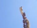 vertical-velocity.html
