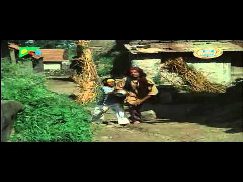 hazaro -