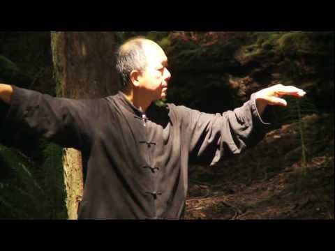 DVD: Yang Tai Chi for Beginners