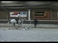 Springles 3