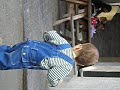 Billy the pigeon chaser