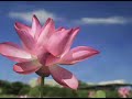 موسيقى هادئة كيتار اكثر من رائعة بواسطه خلدون عماد.flv
