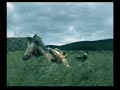Samurai Warriors: Tadakatsu - The Battle of Mikatagahara