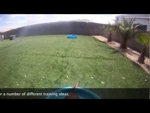 how to train swimming without a pool