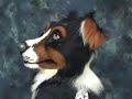 MixedCandy Moving Jaw