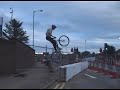 ZOO TRIAL crashes