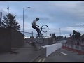 ZOO TRIAL crashes