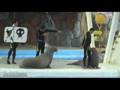 Kish Island 2008 جزیره زیبای کیش