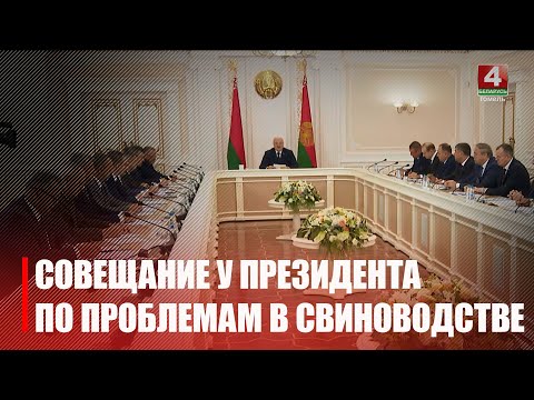 Лукашэнка запатрабаваў мадэрнізацыі свінагадоўлі з-за працы галіны ў мінус видео