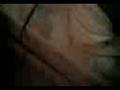 videos de Mummy's Mexican Crip
