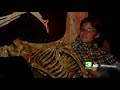 Haunted House May Be Dead After Theft Haunted House May Be Dead After Theft