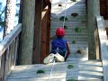 Climbing the Tower
