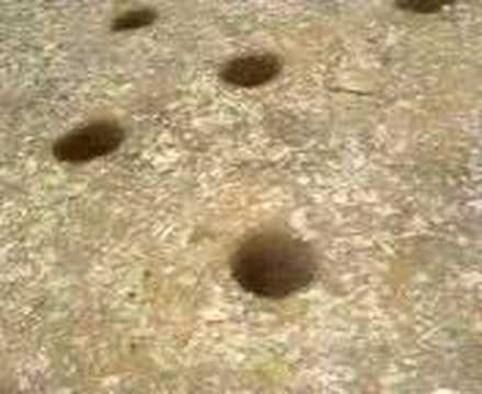 Thrissur Pooram 2007