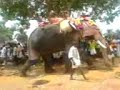 Thrissur Pooram 2007 Thrissur Pooram 2007