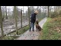 Antijagdtraining das Lehrvideo zum Buch
