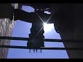 El campanario de la Giralda en Sevilla