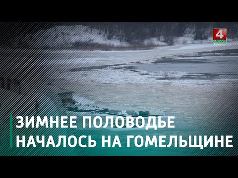 На Гомельщине, из-за обильных осадков, началось зимнее половодье видео
