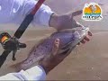 Pesca de Costa en el Karnak (Argentina) Pesca de Costa en el Karnak (Argentina)