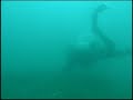 The ME Tremble - St Clair River Wreck Dive The ME Tremble - St Clair River Wreck Dive