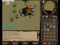 Runescape Kalphite Queen - Ahrim + Ice Barrage Runescape Kalphite Queen - Ahrim + Ice Barrage