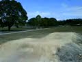 whip at elanora