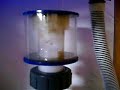Sump Aquraium Video