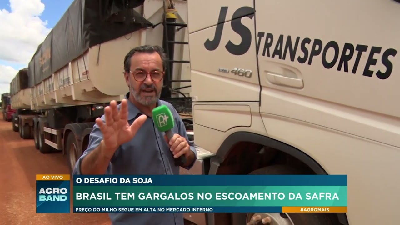 O desafio da soja: Brasil tem gargalos no escoamento da safra