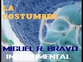 LA COSTUMBRE (INSTRUMENTAL) - MIGUEL R. BRAVO