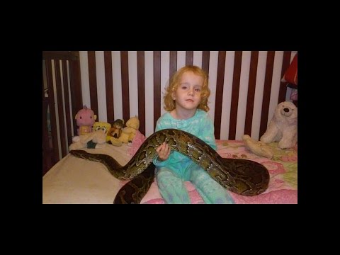 YouTube reptile video