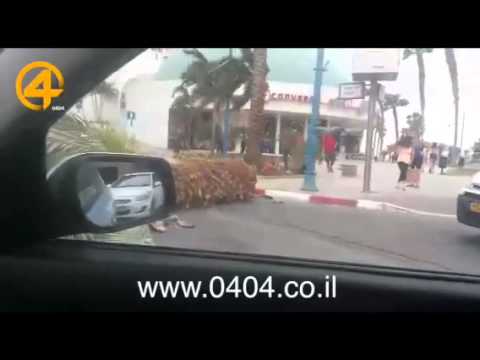 חורף פסח באילת: עצים קרסו ונזק נגרם לכלי רכב