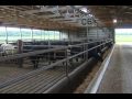 Environmental Stewardship Award I - Sennett Cattle Co.