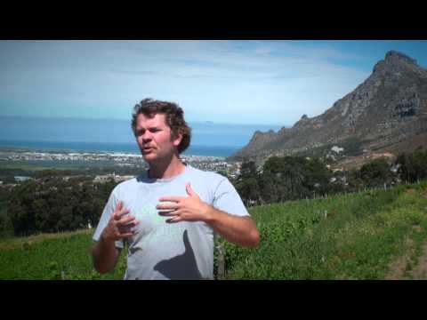 A Spring Journey with Steenberg Vineyards photo