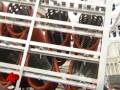 videos de Sausage Strives to Be Record-breaker