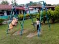 Budak-budak main ayunan Budak-budak main ayunan