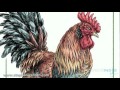 submitted by meant4u on Fri Jan 27 2012 at 12:49am