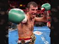 JOE Calzaghe Tribute (The Welsh Dragon ) 46 - N- 0 ! Undeafeted - foto 1
