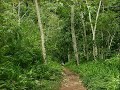 الآيات 33 - 69 من سورة آل عمران