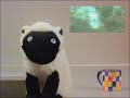 Game Petwork 5