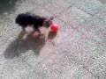 nouveaux-jouets.html