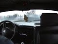 what can u do with your dead 325i