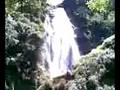 Josel Arnedo 1