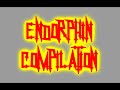 CHUKIEs ENDORPHIN COMPILATION 4 CHUKIEs ENDORPHIN COMPILATION 4