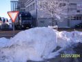 van maris vs riedl transport van maris vs riedl transport