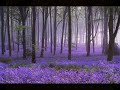The Awakened Life -- Part 1 -- Dr. Wayne Dyer