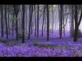 The Awakened Life -- Part 1 -- Dr. Wayne Dyer