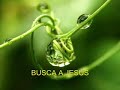 BUSCA A JESÚS - MÚSICA CRISTIANA - Leo Dan