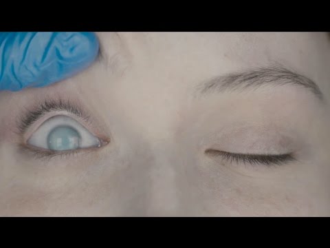 The Autopsy of Jane Doe | official trailer #2 (2016)