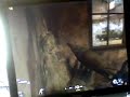 8800GT Call of Duty 4 (video 1 of 2) XP @ 1280x1024 MAX 8800GT Call of Duty 4 (video 1 of 2) XP @ 1280x1024 MAX